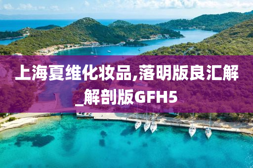 上海夏维化妆品,落明版良汇解_解剖版GFH5