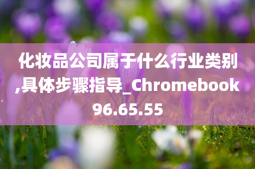 化妆品公司属于什么行业类别,具体步骤指导_Chromebook96.65.55