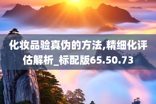 化妆品验真伪的方法,精细化评估解析_标配版65.50.73