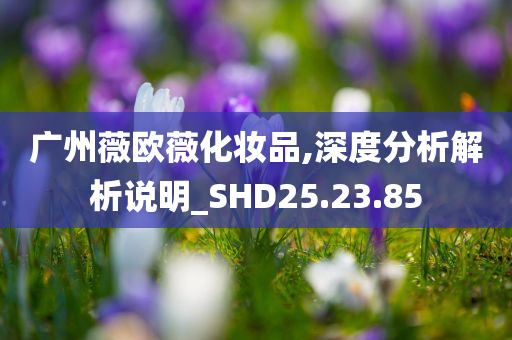 广州薇欧薇化妆品,深度分析解析说明_SHD25.23.85