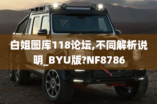 白姐图库118论坛,不同解析说明_BYU版?NF8786