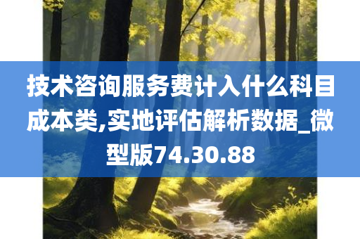 技术咨询服务费计入什么科目成本类,实地评估解析数据_微型版74.30.88