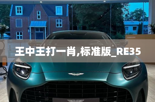 王中王打一肖,标准版_RE35