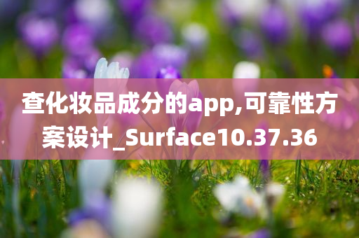 查化妆品成分的app,可靠性方案设计_Surface10.37.36