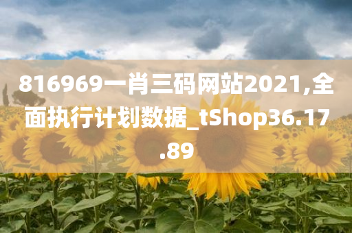 816969一肖三码网站2021,全面执行计划数据_tShop36.17.89