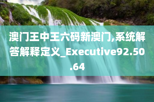 澳门王中王六码新澳门,系统解答解释定义_Executive92.50.64