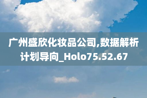 广州盛欣化妆品公司,数据解析计划导向_Holo75.52.67