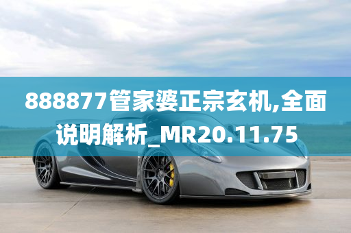 888877管家婆正宗玄机,全面说明解析_MR20.11.75