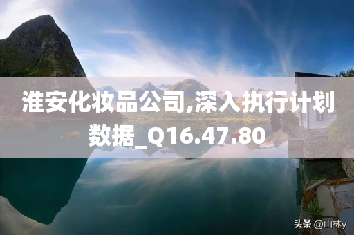 淮安化妆品公司,深入执行计划数据_Q16.47.80