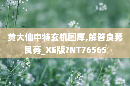 黄大仙中特玄机图库,解答良莠良莠_XE版?NT76565