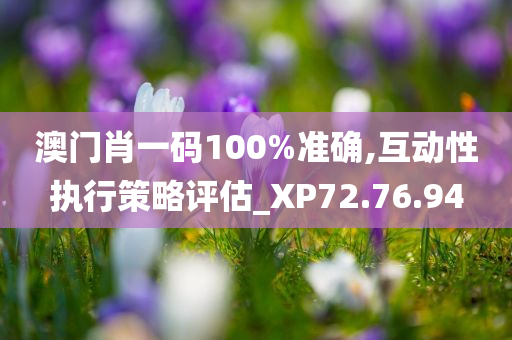 澳门肖一码100%准确,互动性执行策略评估_XP72.76.94