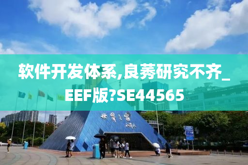 软件开发体系,良莠研究不齐_EEF版?SE44565