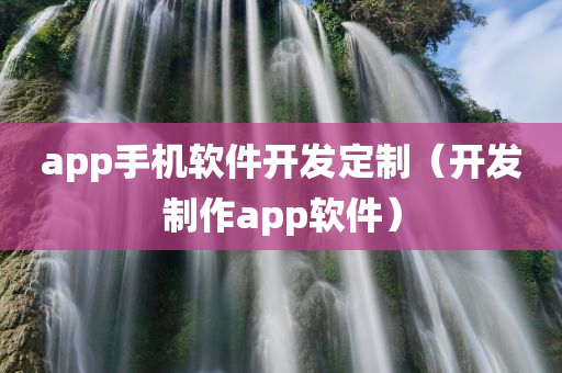 app手机软件开发定制（开发制作app软件）