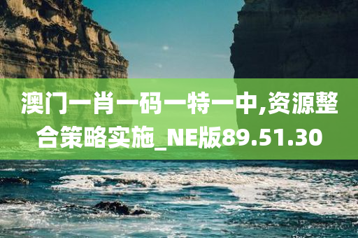 澳门一肖一码一特一中,资源整合策略实施_NE版89.51.30