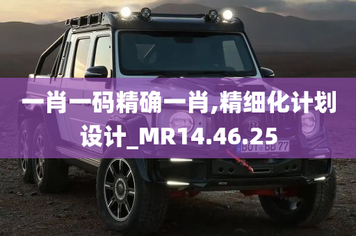 一肖一码精确一肖,精细化计划设计_MR14.46.25