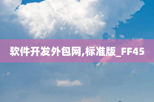 软件开发外包网,标准版_FF45