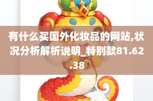 有什么买国外化妆品的网站,状况分析解析说明_特别款81.62.38