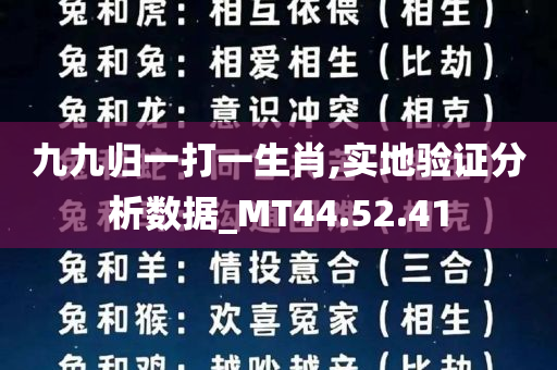 九九归一打一生肖,实地验证分析数据_MT44.52.41