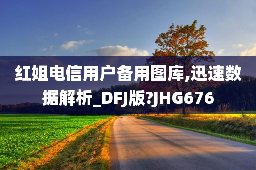 红姐电信用户备用图库,迅速数据解析_DFJ版?JHG676