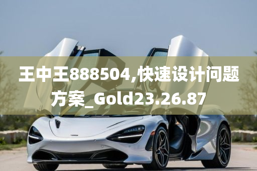 王中王888504,快速设计问题方案_Gold23.26.87