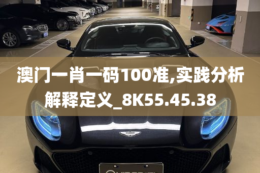 澳门一肖一码100准,实践分析解释定义_8K55.45.38