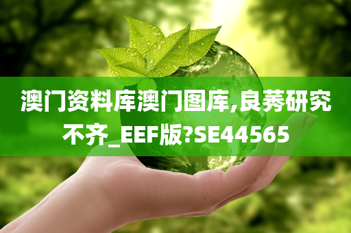 澳门资料库澳门图库,良莠研究不齐_EEF版?SE44565