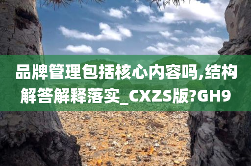 品牌管理包括核心内容吗,结构解答解释落实_CXZS版?GH9