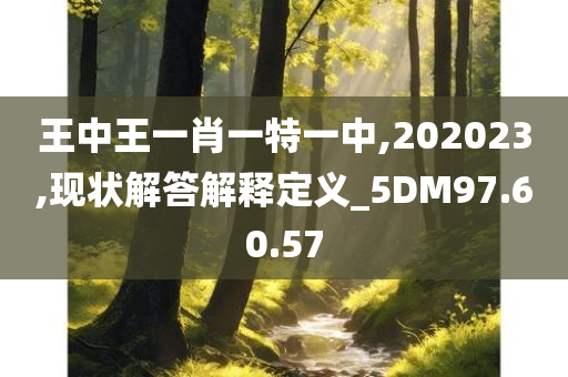 王中王一肖一特一中,202023,现状解答解释定义_5DM97.60.57