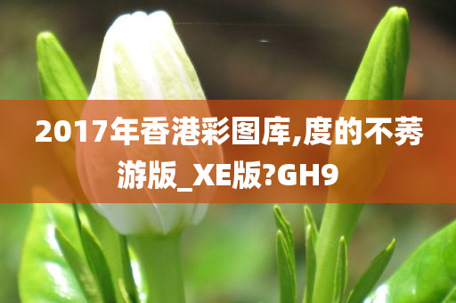 2017年香港彩图库,度的不莠游版_XE版?GH9