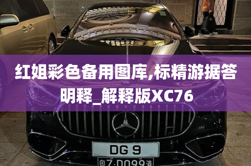 红姐彩色备用图库,标精游据答明释_解释版XC76