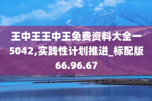 王中王王中王免费资料大全一5042,实践性计划推进_标配版66.96.67