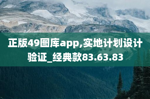 正版49图库app,实地计划设计验证_经典款83.63.83