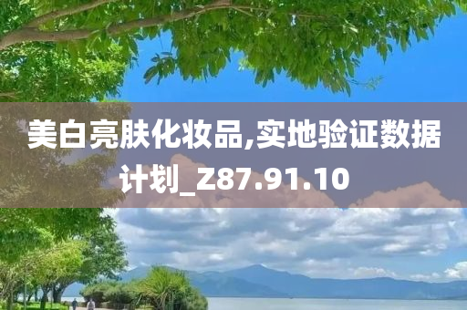 美白亮肤化妆品,实地验证数据计划_Z87.91.10