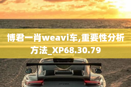 博君一肖weavi车,重要性分析方法_XP68.30.79