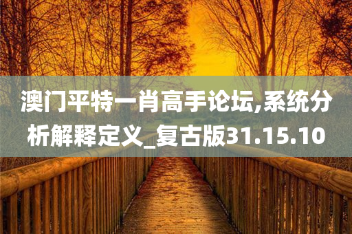 澳门平特一肖高手论坛,系统分析解释定义_复古版31.15.10