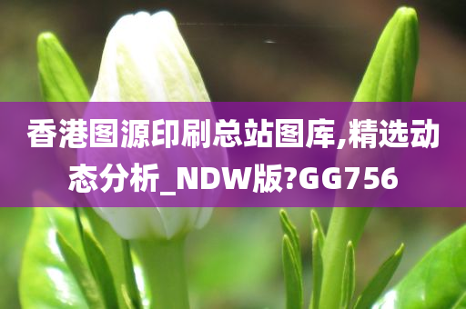 香港图源印刷总站图库,精选动态分析_NDW版?GG756