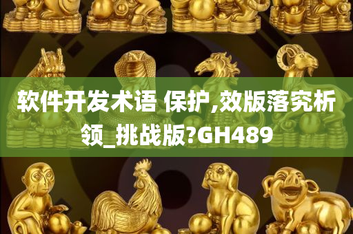 软件开发术语 保护,效版落究析领_挑战版?GH489