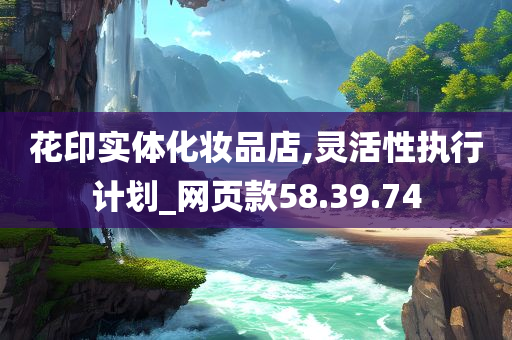 花印实体化妆品店,灵活性执行计划_网页款58.39.74