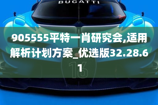 905555平特一肖研究会,适用解析计划方案_优选版32.28.61