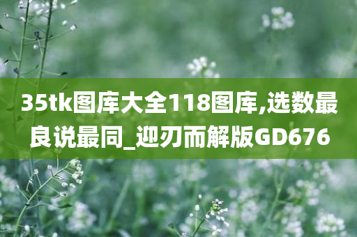 35tk图库大全118图库,选数最良说最同_迎刃而解版GD676