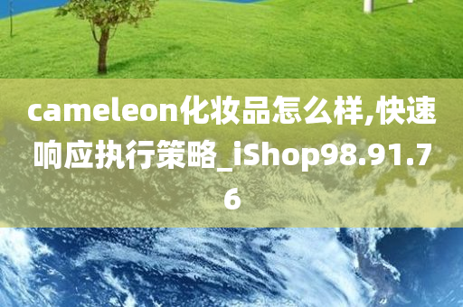 cameleon化妆品怎么样,快速响应执行策略_iShop98.91.76