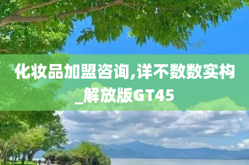 化妆品加盟咨询,详不数数实构_解放版GT45