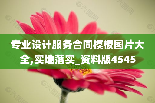 专业设计服务合同模板图片大全,实地落实_资料版4545