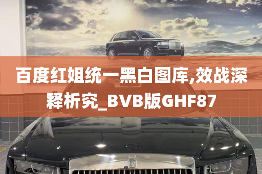 百度红姐统一黑白图库,效战深释析究_BVB版GHF87