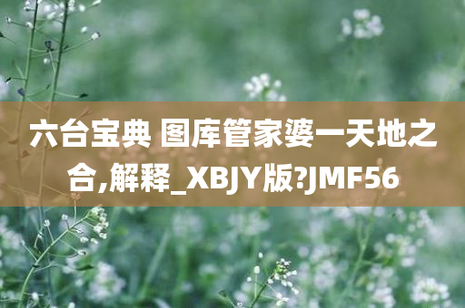 六台宝典 图库管家婆一天地之合,解释_XBJY版?JMF56