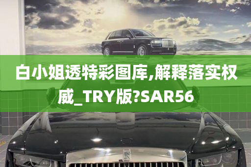 白小姐透特彩图库,解释落实权威_TRY版?SAR56