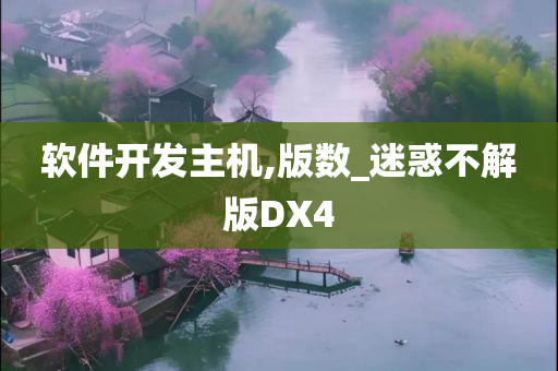 软件开发主机,版数_迷惑不解版DX4