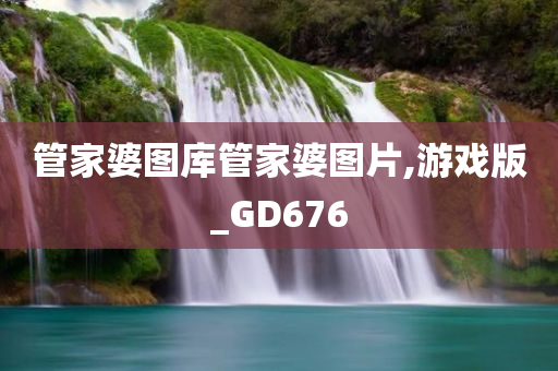 管家婆图库管家婆图片,游戏版_GD676