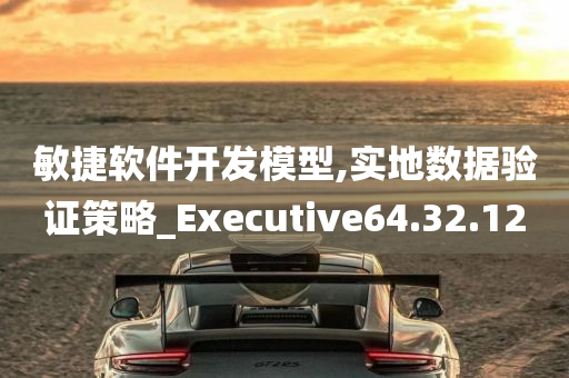 敏捷软件开发模型,实地数据验证策略_Executive64.32.12