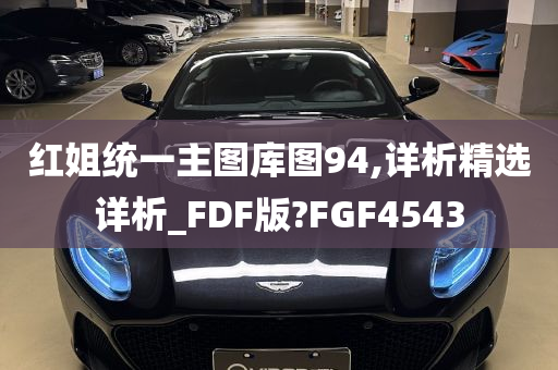 红姐统一主图库图94,详析精选详析_FDF版?FGF4543